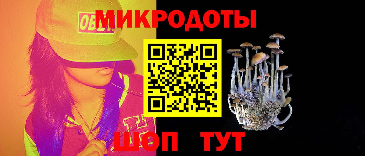 Псилоцибиновые грибы Psilocybe  Вход с VPN  что такое наркотик  Кушва  Галлюциногенные грибы Psilocybe 